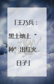 王乃兵：黑土地上“种”出红火日子