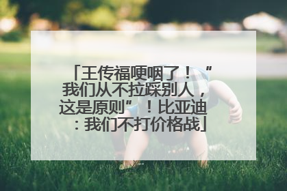王传福哽咽了！“我们从不拉踩别人，这是原则”！比亚迪：我们不打价格战