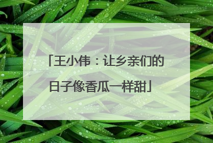 王小伟：让乡亲们的日子像香瓜一样甜