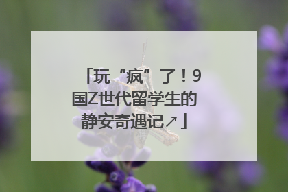 玩“疯”了！9国Z世代留学生的静安奇遇记↗