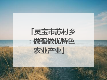 灵宝市苏村乡：做强做优特色农业产业