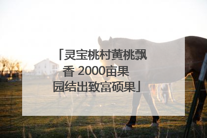 灵宝桃村黄桃飘香 2000亩果园结出致富硕果