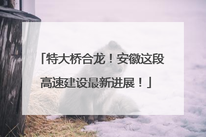 特大桥合龙！安徽这段高速建设最新进展！