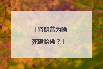 特朗普为啥死磕哈佛？