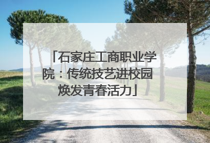 石家庄工商职业学院：传统技艺进校园焕发青春活力