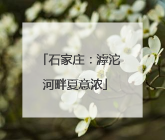 石家庄：滹沱河畔夏意浓