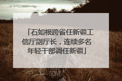石如根跨省任新疆工信厅副厅长，连续多名年轻干部调任新疆