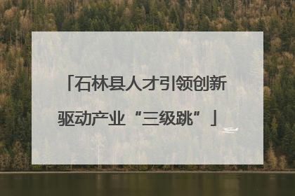 石林县人才引领创新驱动产业“三级跳”