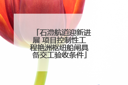 石澧航道迎新进展 项目控制性工程艳洲枢纽船闸具备交工验收条件