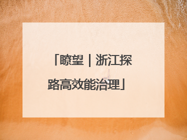 瞭望｜浙江探路高效能治理