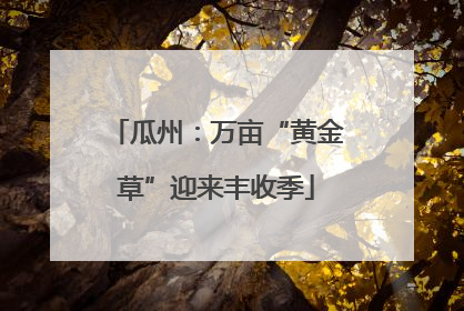 瓜州：万亩“黄金草”迎来丰收季