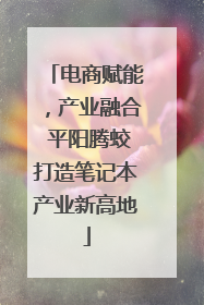 电商赋能，产业融合 平阳腾蛟打造笔记本产业新高地
