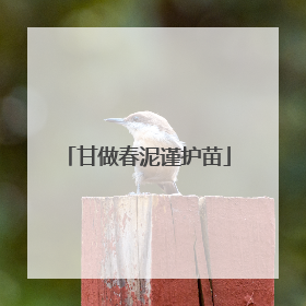 甘做春泥谨护苗