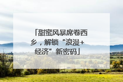 甜蜜风暴席卷西乡，解锁“浪漫+经济”新密码