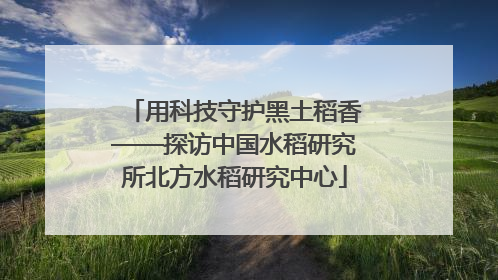 用科技守护黑土稻香——探访中国水稻研究所北方水稻研究中心