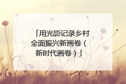 用光影记录乡村全面振兴新画卷（新时代画卷）