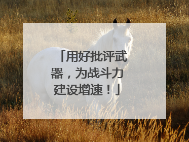 用好批评武器，为战斗力建设增速！