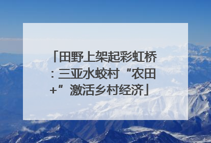 田野上架起彩虹桥：三亚水蛟村“农田+”激活乡村经济