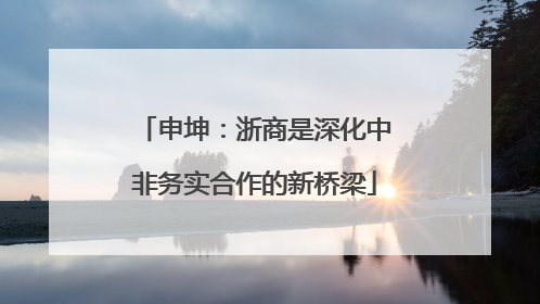 申坤：浙商是深化中非务实合作的新桥梁