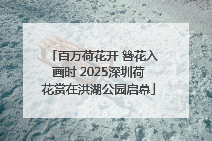 百万荷花开 簪花入画时 2025深圳荷花赏在洪湖公园启幕