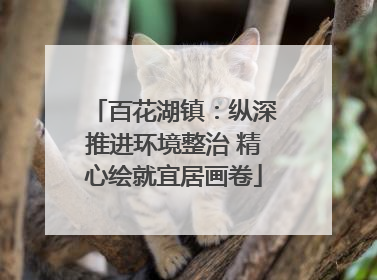百花湖镇：纵深推进环境整治 精心绘就宜居画卷