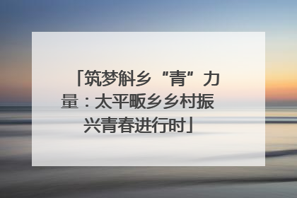 筑梦斛乡“青”力量：太平畈乡乡村振兴青春进行时