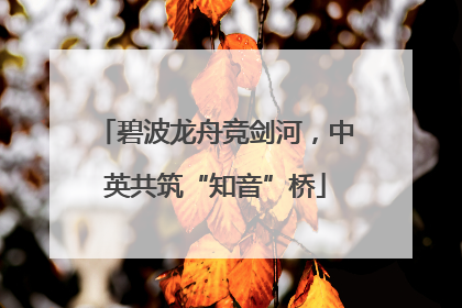 碧波龙舟竞剑河，中英共筑“知音”桥