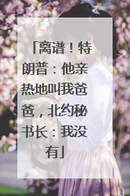 离谱！特朗普：他亲热地叫我爸爸，北约秘书长：我没有
