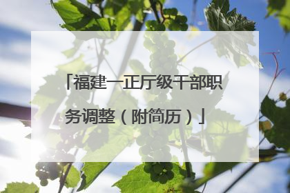 福建一正厅级干部职务调整（附简历）