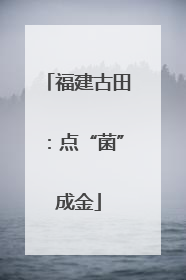 福建古田：点“菌”成金