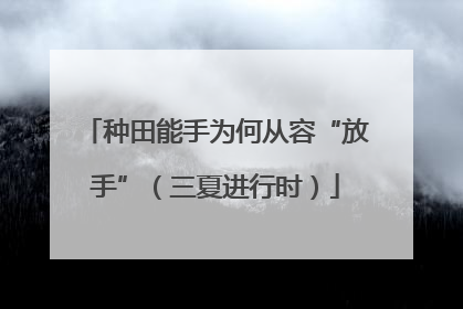 种田能手为何从容“放手”（三夏进行时）