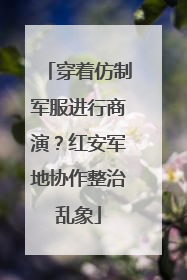 穿着仿制军服进行商演？红安军地协作整治乱象