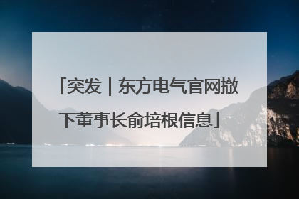 突发｜东方电气官网撤下董事长俞培根信息