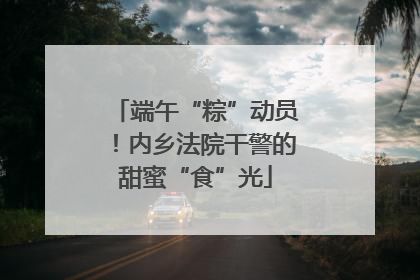 端午“粽”动员！内乡法院干警的甜蜜“食”光