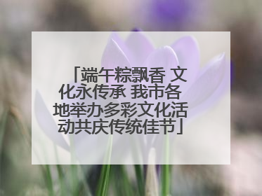 端午粽飘香 文化永传承 我市各地举办多彩文化活动共庆传统佳节