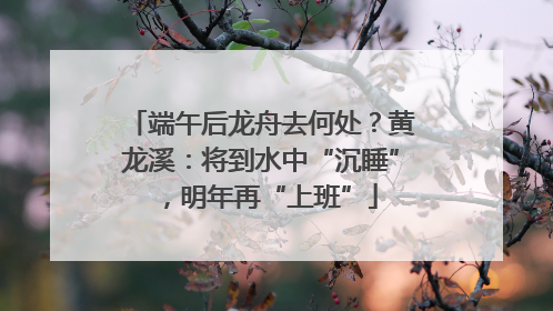 端午后龙舟去何处？黄龙溪：将到水中“沉睡”，明年再“上班”