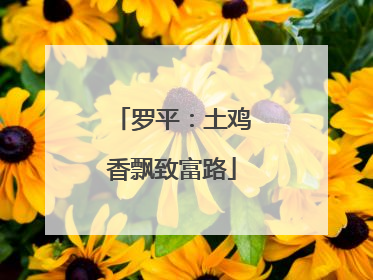 罗平：土鸡香飘致富路