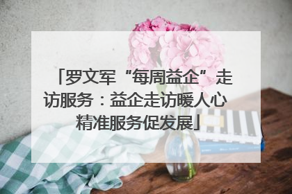 罗文军“每周益企”走访服务：益企走访暖人心 精准服务促发展