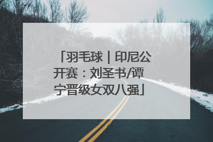 羽毛球｜印尼公开赛：刘圣书/谭宁晋级女双八强