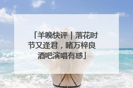 羊晚快评｜落花时节又逢君，睹万梓良酒吧演唱有感