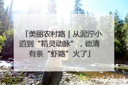 美丽农村路｜从泥泞小道到“精灵动脉”，德清有条“虾路”火了