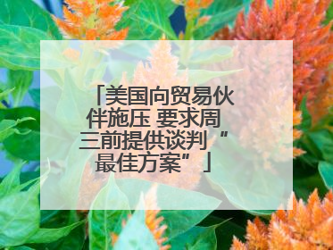 美国向贸易伙伴施压 要求周三前提供谈判“最佳方案”