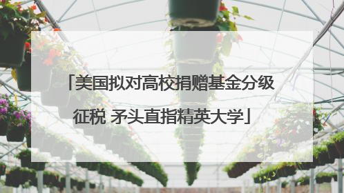 美国拟对高校捐赠基金分级征税 矛头直指精英大学