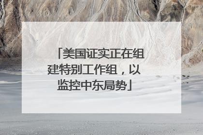 美国证实正在组建特别工作组，以监控中东局势