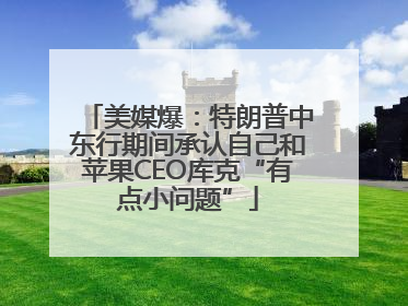 美媒爆：特朗普中东行期间承认自己和苹果CEO库克“有点小问题”