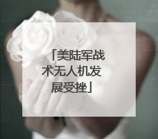 美陆军战术无人机发展受挫