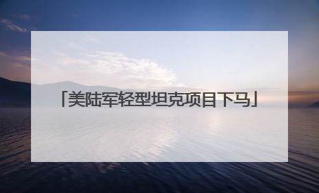 美陆军轻型坦克项目下马