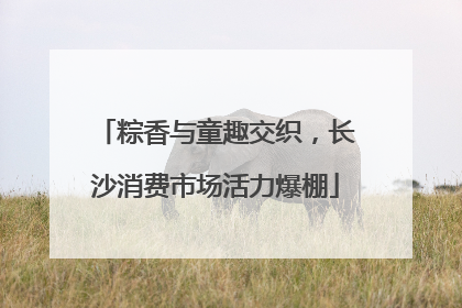 粽香与童趣交织，长沙消费市场活力爆棚