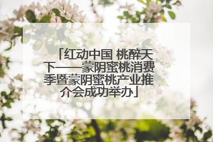 红动中国 桃醉天下——蒙阴蜜桃消费季暨蒙阴蜜桃产业推介会成功举办