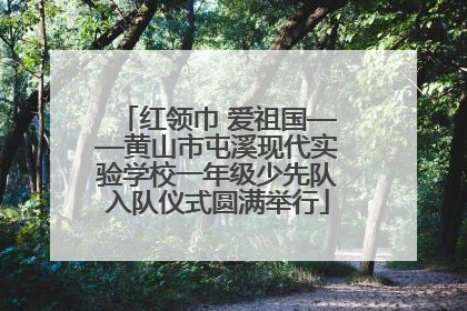 红领巾 爱祖国——黄山市屯溪现代实验学校一年级少先队入队仪式圆满举行